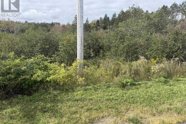 Lot 12 Schaller Drive, Sydney Forks
