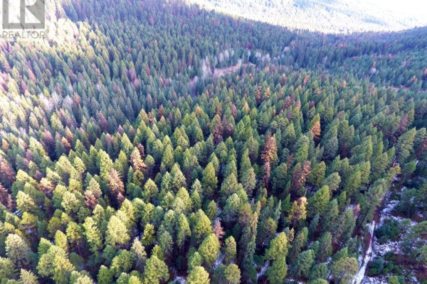 Lot 1213s Ingram Creek Forest Service Road, Rock Creek, BC V0H1Y0 Photo 4