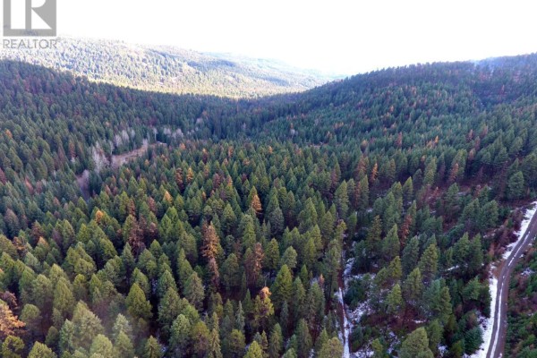 Lot 1213s Ingram Creek Forest Service Road, Rock Creek, BC V0H1Y0 Photo 5