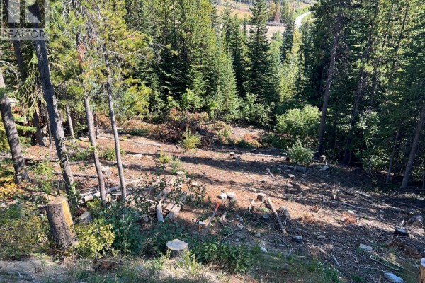 Lot 122 Wapiti Creek Road, Oliver, BC V0H1T8 Photo 5