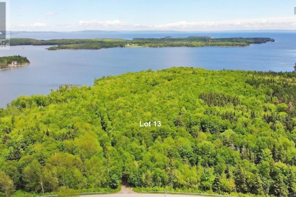 Gravel driveway leading into a wooded area labeled Lot 13, with tall birch and pine trees. - Lot 13 Belle View Lane, Malagawash