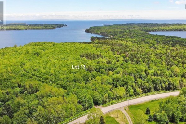 Wooded lot with a gravel path, Lot 13, featuring mixed deciduous and coniferous trees. - Lot 13 Belle View Lane, Malagawash