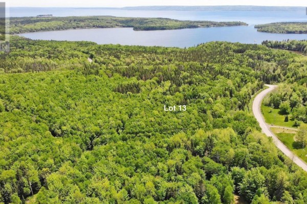 Path through Lot 13, surrounded by dense trees with green and some red foliage. - Lot 13 Belle View Lane, Malagawash