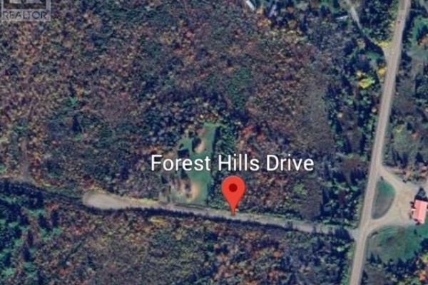 Lot 13 Forest Hill Drive, Central West River, NS, photo 2