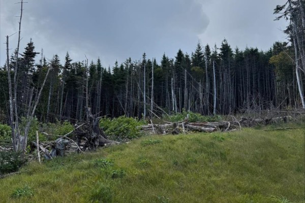 Lot 13 Southern Shore Highway, Ferryland, NL A0A2H0 Photo 2