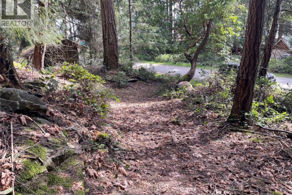 A clearing in a wooded area shows a dirt road, trees, and discarded tires. - Lot 130 Ling Cod Lane, Mudge Island