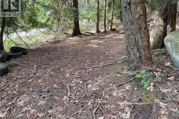A clearing in a forest with discarded tires, large rocks, and scattered branches. - Lot 130 Ling Cod Lane, Mudge Island
