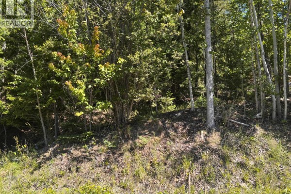 Lot 131 Aspen Road, Anglemont, BC V0E1M8 Photo 4