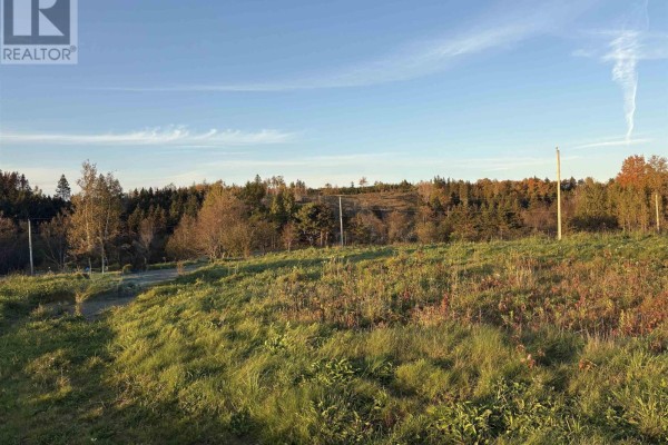 Lot 132 Marshdale Road, Hopewell, NS B0K1C0 Photo 2