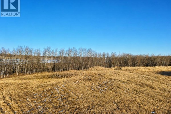 Lot 14, 5115 40 Avenue, Innisfail, AB T4G1Z1 Photo 5