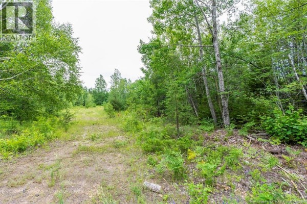 Lot 14-2 Niagara Road, Lower Coverdale, NB E1J1H8 Photo 2