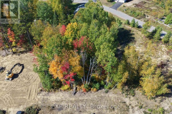 Lot 14 Birchview Drive, Madawaska Valley, ON K0J1B0 Photo 4