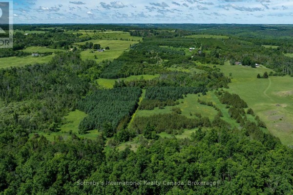 Aerial view of a landscape featuring coniferous trees, green fields, and rolling terrain. - Lot 14 Con 2 1st Line E Ehs, Mulmur
