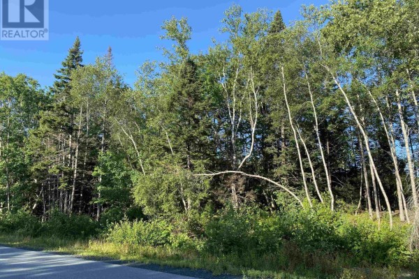 Lot 14 Eastern Shore Road, Port Medway, NS B0J2T0 Photo 2