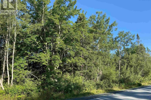 Lot 14 Eastern Shore Road, Port Medway, NS B0J2T0 Photo 4