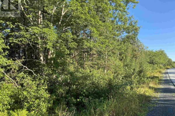 Lot 14 Eastern Shore Road, Port Medway, NS B0J2T0 Photo 5