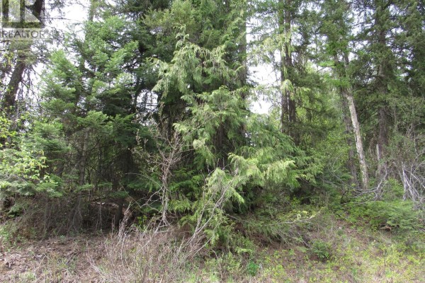 Lot 14 Nelson Rural 08182.140 Lot# 14, Bonnington Falls, BC V0G2G3 Photo 2