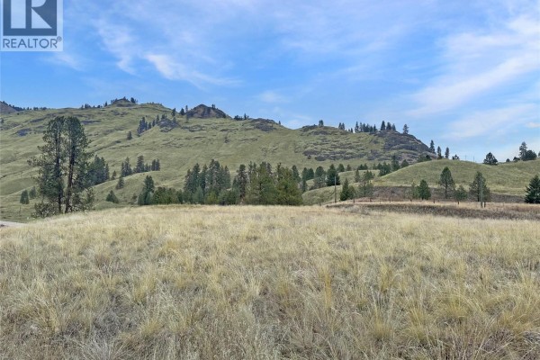 Lot 14 Thomet Avenue, Midway, BC V0H1M0 Photo 4