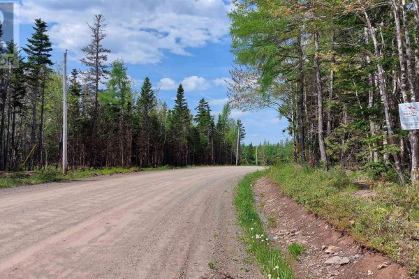 Lot 14 Walkerville Rd, Walkerville, NS B0E1J0 Photo 4
