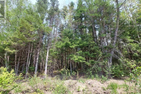 Lot 14 Walkerville Rd, Walkerville, NS B0E1J0 Photo 5