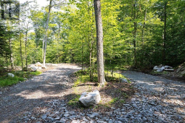 Lot #15 - 101 Gryffin Bluffs Lane, Huntsville, ON P0B1M0 Photo 4
