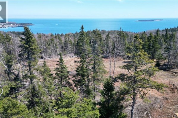 Lot 15-04 Ohio Pond Road, Grand Manan, NB, photo 3