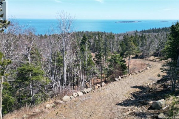 Lot 15-04 Ohio Pond Road, Grand Manan, NB E5G4B4 Photo 4