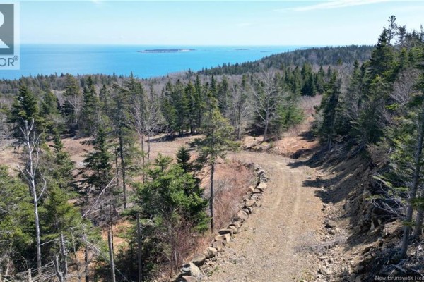 Lot 15-04 Ohio Pond Road, Grand Manan, NB E5G4B4 Photo 5