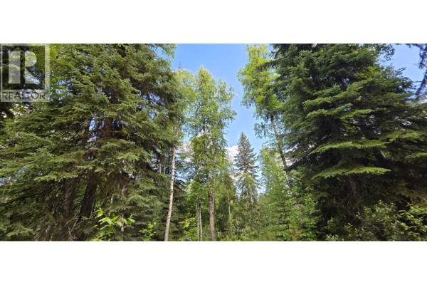 Lot 15 Catherine Road, Prince George, BC V2M7B8 Photo 5