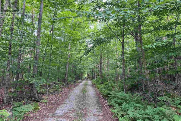 Lots and Land for sale at Lot 15 Gordon Rd, St  Joseph Island, ON - MLS® SdTDbO