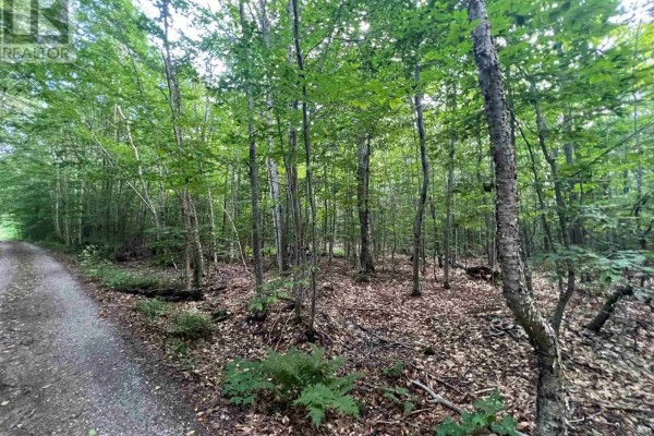 Lot 15 Gordon Rd, St  Joseph Island, ON P0R1G0 Photo 5