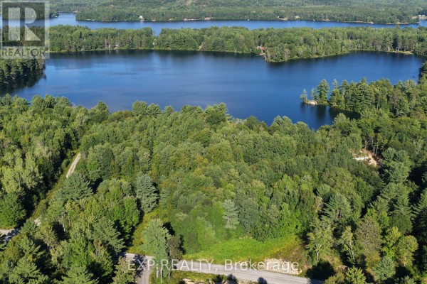 Lot 15 Sandy Shores Trail, Madawaska Valley, ON K0J1B0 Photo 4