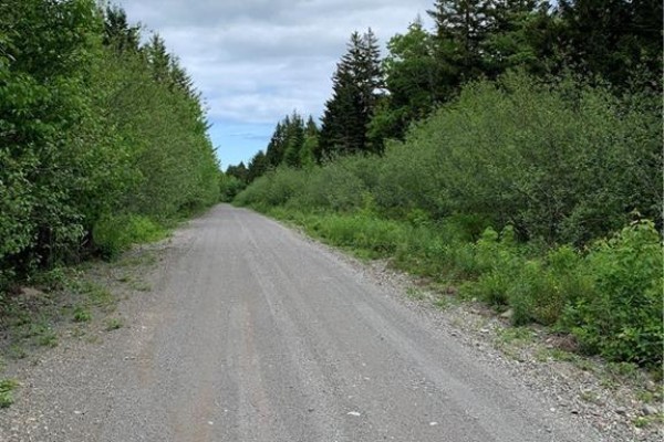 Lot 15-b Burchills Flats, St  Martins, NB, photo 2