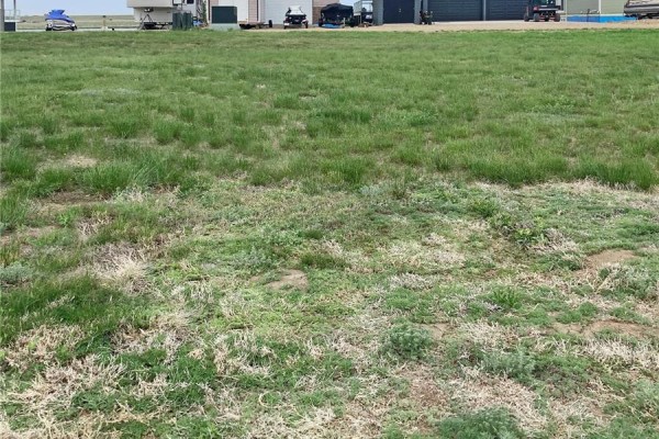 Lot 16, Blk 2, Sunridge Resort, Webb Rm No  138, SK, photo 2