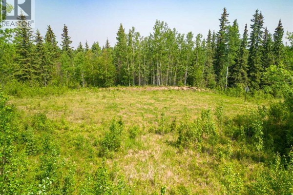 Lot 16 Estates Of East Mountain, Rural Woodlands County, AB, photo 3