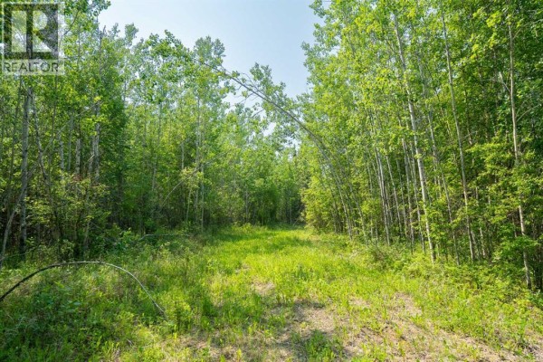 Lot 16 Estates Of East Mountain, Rural Woodlands County, AB T7S1N9 Photo 4