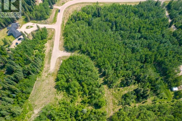 Lot 16 Estates Of East Mountain, Rural Woodlands County, AB T7S1N9 Photo 5