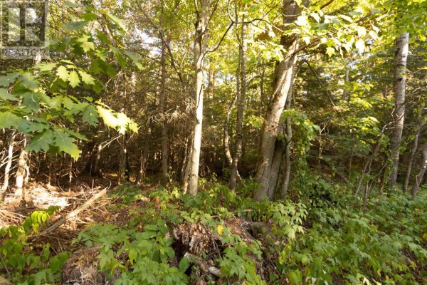 Lot 16 Nokomis Beach Rd, Sault Ste  Marie, ON, photo 3