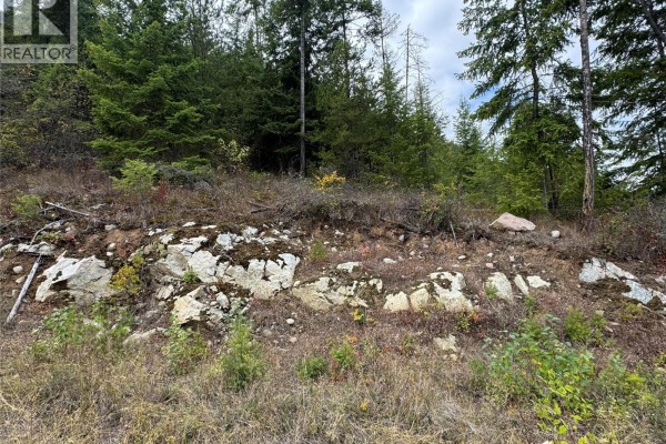 Lot 16 Osprey Point, Renata, BC V1N3N3 Photo 4