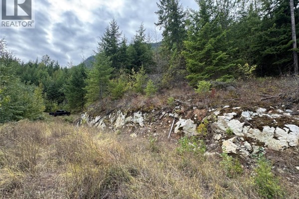 Lot 16 Osprey Point, Renata, BC V1N3N3 Photo 5