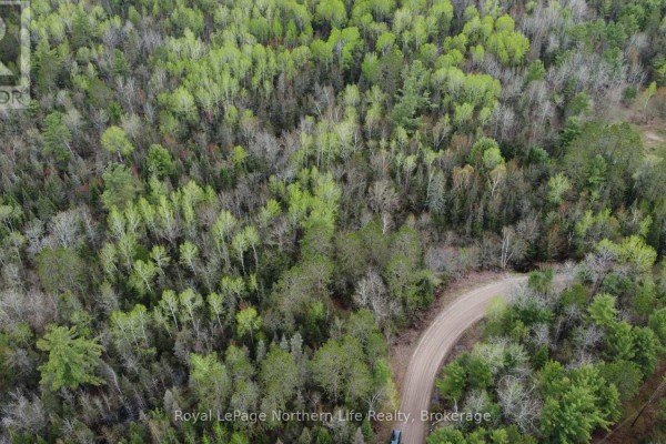Lot 16 Part 2, Suzannes Road, Calvin, ON P0H1V0 Photo 2