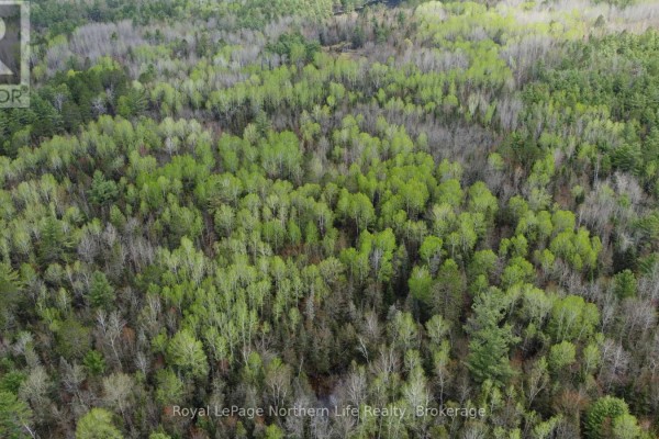 Lot 16 Part 2, Suzannes Road, Calvin, ON P0H1V0 Photo 3