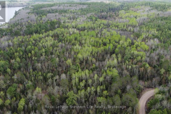 Lot 16 Part 2, Suzannes Road, Calvin, ON P0H1V0 Photo 4