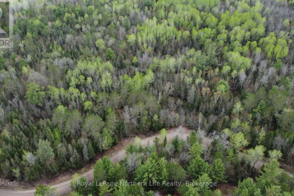 Lot 16 Part 2, Suzannes Road, Calvin, ON P0H1V0 Photo 5