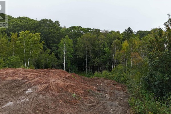 Lot 16 Pleasant Street, Conway, NS B0V1A0 Photo 2