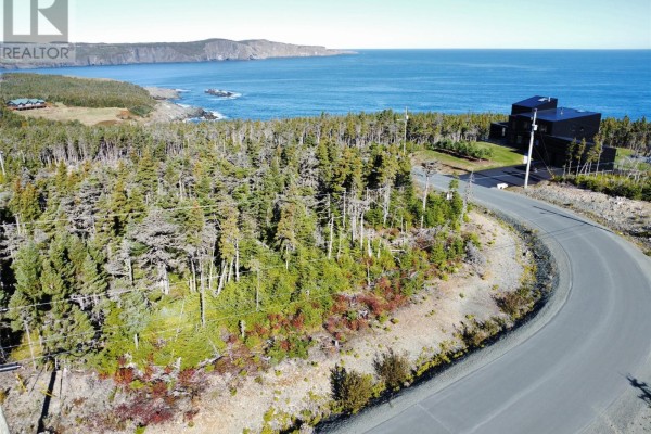 Lot 16 Silverhead Way, Logy Bay Middle Cove Outer Cove, NL A1K2A1 Photo 4