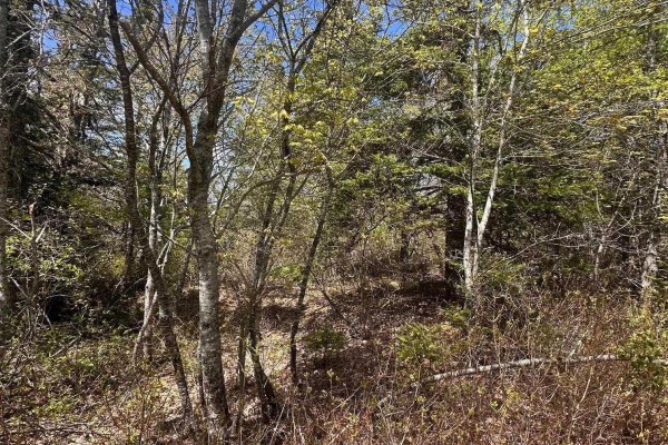 Lot 16 Somerset Drive, East Sable River, NS B0T1V0 Photo 5