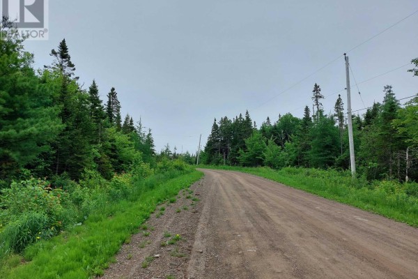 Lot 16 Walkerville Rd., Walkerville, NS B0E1J0 Photo 4