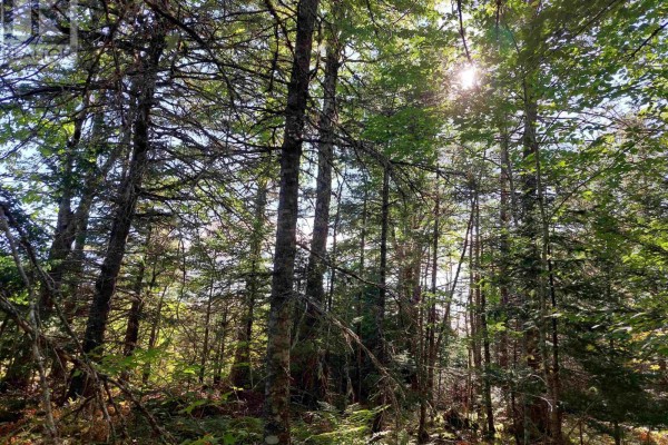 Lot 16 Walkerville Rd., Walkerville, NS B0E1J0 Photo 5