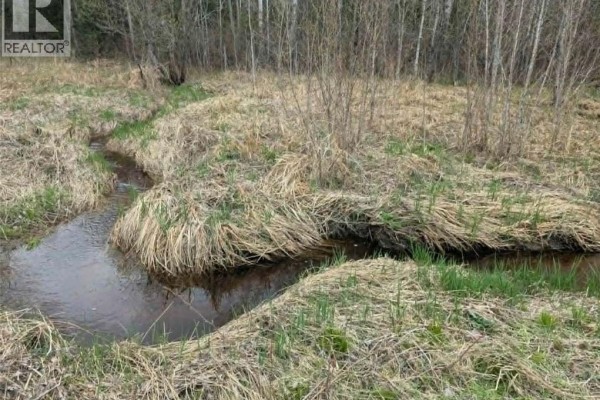 Lot 17 Bertha Road, Corbeil, ON P0H1K0 Photo 4